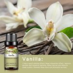 0kvm10ml Essential Oils for Humidifier Diffuser Aromatic Candles Soap Massage Oil 10pcs Kit Pure Natural Tea.jpg