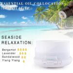 0kvm10ml Essential Oils for Humidifier Diffuser Aromatic Candles Soap Massage Oil 10pcs Kit Pure Natural Tea d930576d a4ff 49b3 bf9e b7569223d3ee.jpg