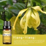 0kvm10ml Essential Oils for Humidifier Diffuser Aromatic Candles Soap Massage Oil 10pcs Kit Pure Natural Tea.jpg