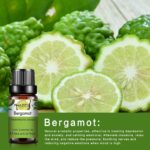 0kvm10ml Essential Oils for Humidifier Diffuser Aromatic Candles Soap Massage Oil 10pcs Kit Pure Natural Tea.jpg