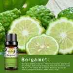 0kvm10ml Essential Oils for Humidifier Diffuser Aromatic Candles Soap Massage Oil 10pcs Kit Pure Natural Tea d930576d a4ff 49b3 bf9e b7569223d3ee.jpg