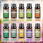 0kvm10ml Essential Oils for Humidifier Diffuser Aromatic Candles Soap Massage Oil 10pcs Kit Pure Natural Tea.jpg