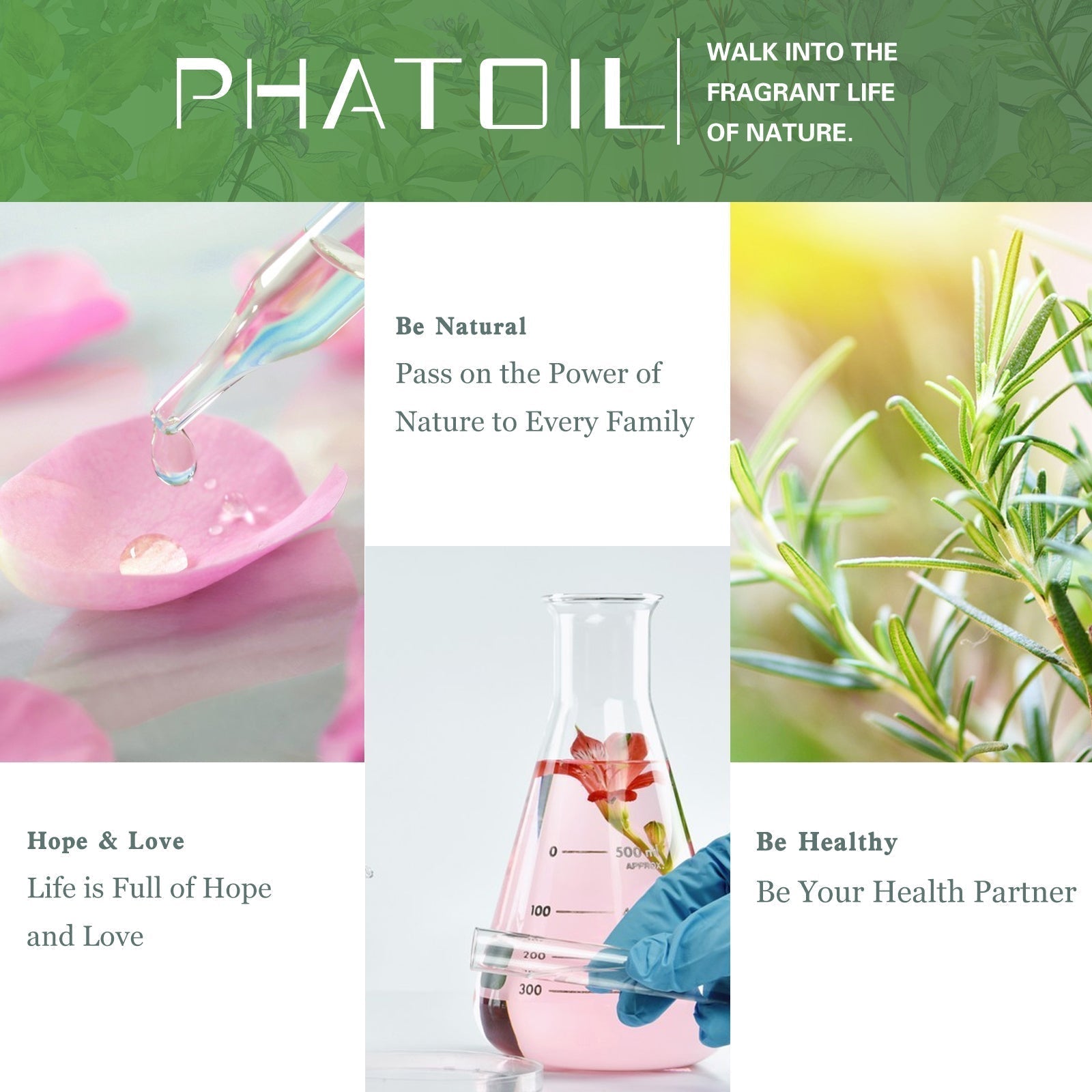 calming essential oils.jpg calming essential oils.jpg