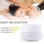 0kvm10ml Essential Oils for Humidifier Diffuser Aromatic Candles Soap Massage Oil 10pcs Kit Pure Natural Tea.jpg