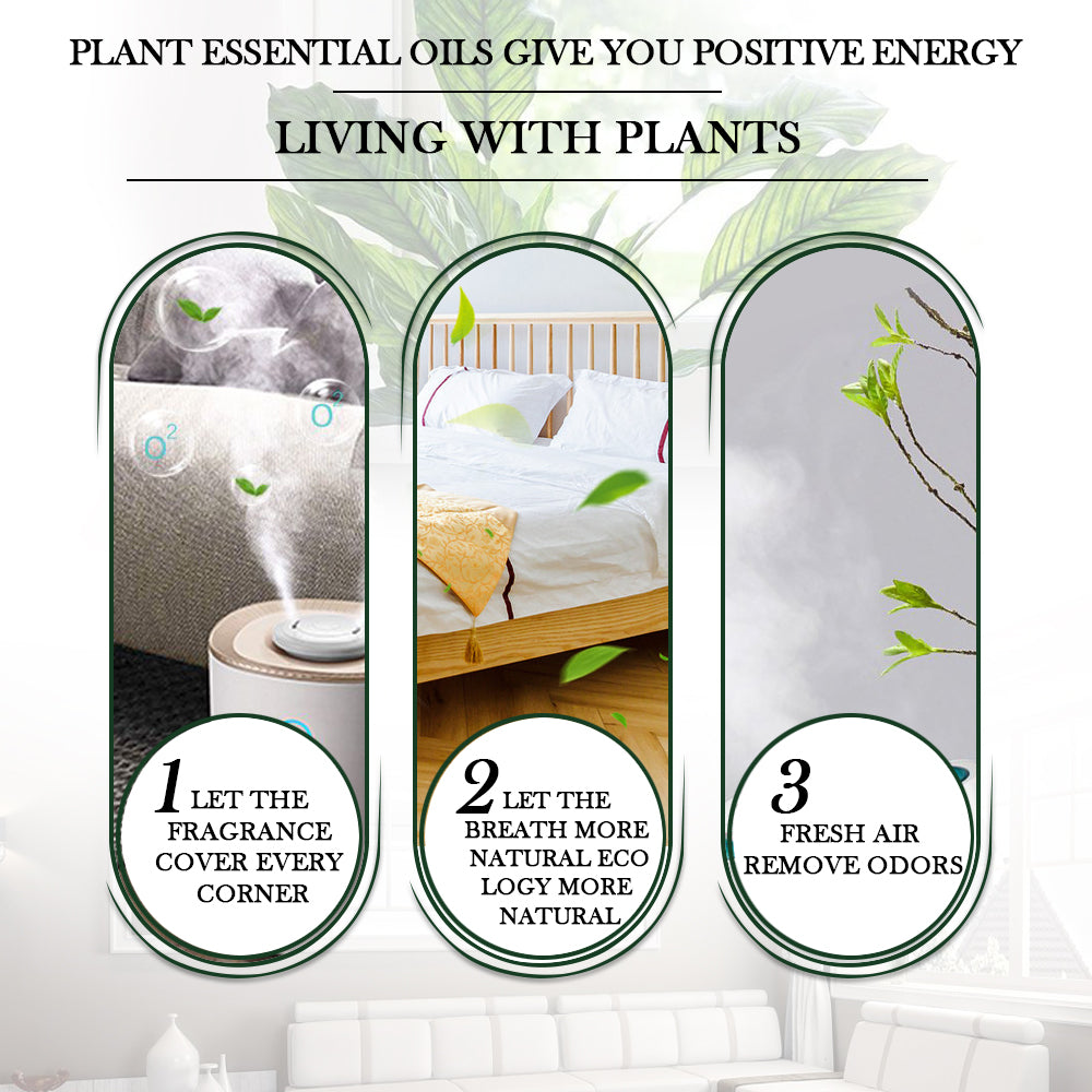 essential oil for aroma diffuser.jpg essential oil for aroma diffuser.jpg