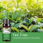 0kvm10ml Essential Oils for Humidifier Diffuser Aromatic Candles Soap Massage Oil 10pcs Kit Pure Natural Tea.jpg