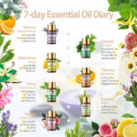 product image 1725165752.jpg