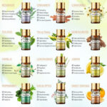 product image 1725165752.jpg