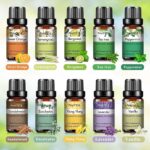 0kvm10ml Essential Oils for Humidifier Diffuser Aromatic Candles Soap Massage Oil 10pcs Kit Pure Natural Tea d930576d a4ff 49b3 bf9e b7569223d3ee.jpg
